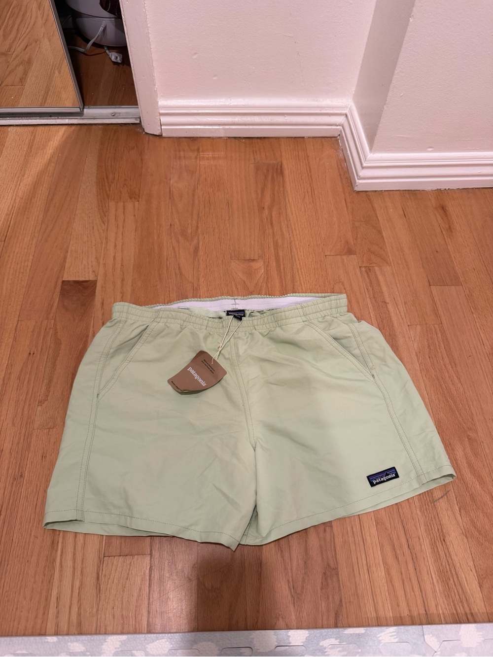 Patagonia Baggies Shorts